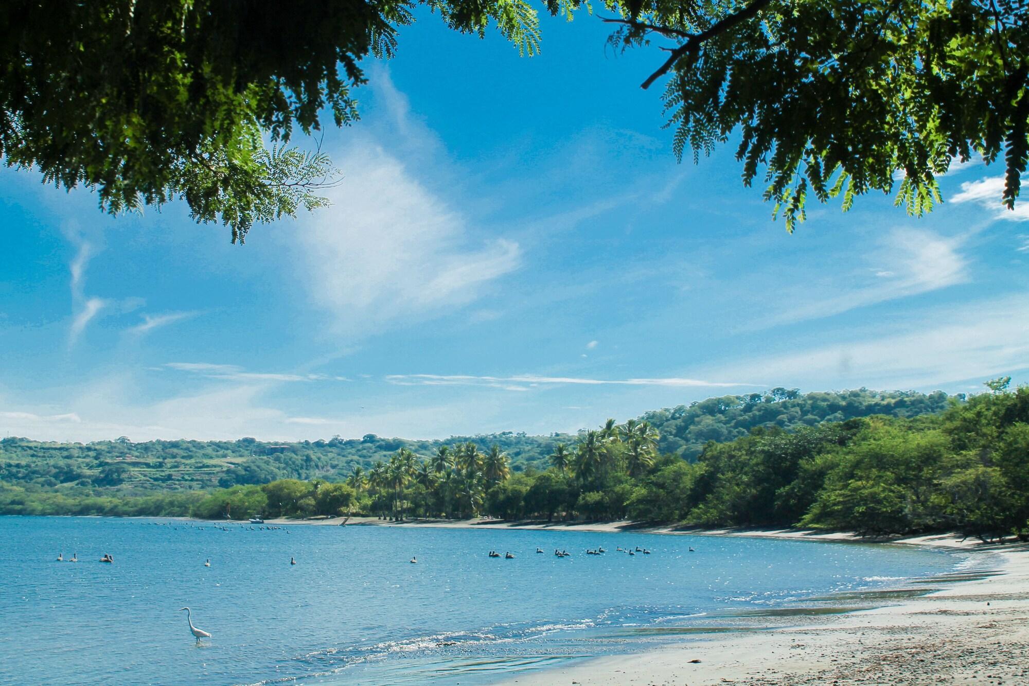 Panamá Papagayo Golden Palms Beachfront Hotel מראה חיצוני תמונה