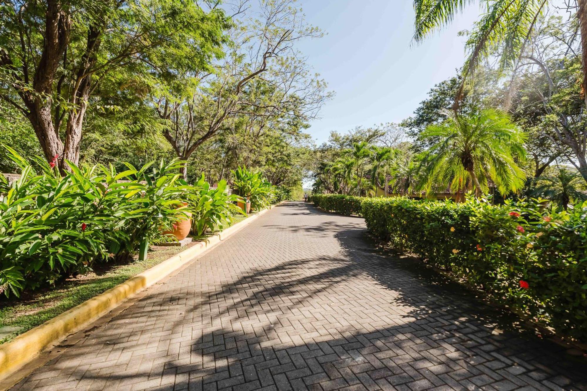 Panamá Papagayo Golden Palms Beachfront Hotel מראה חיצוני תמונה