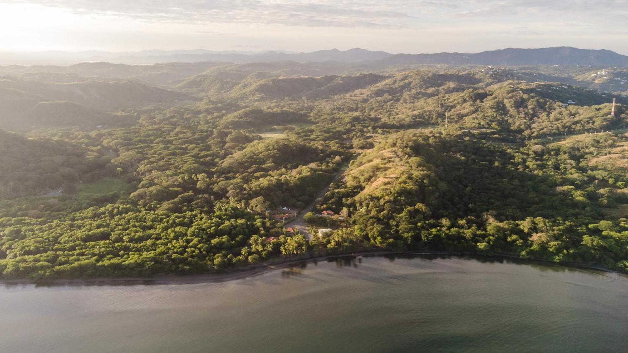 Panamá Papagayo Golden Palms Beachfront Hotel מראה חיצוני תמונה